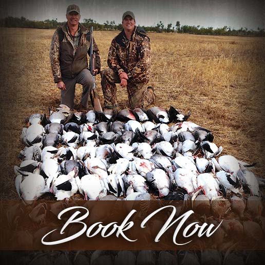 Lights Out Waterfowl